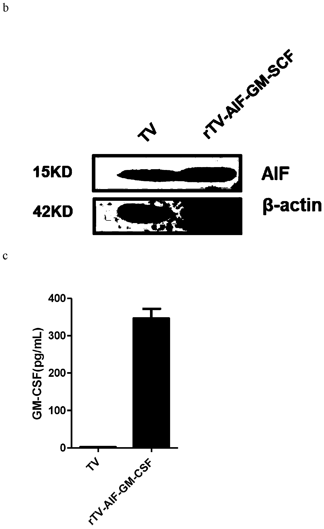 Novel oncolytic virus, as well as preparation method and application thereof