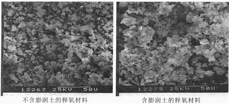 Biodegradation method of methyl tert-butyl ether in ground water