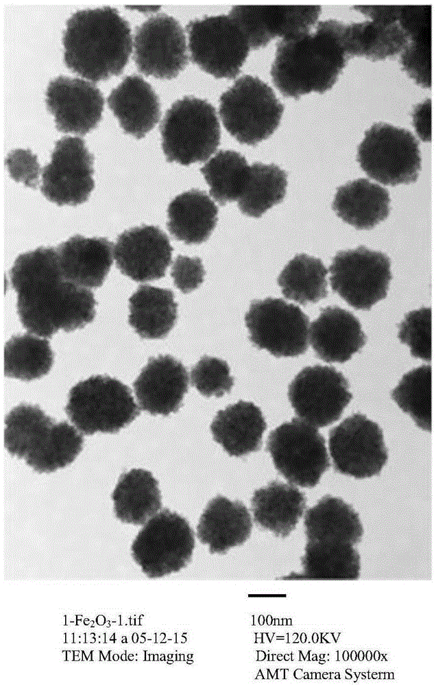 N-phosphorylated peptide enrichment method