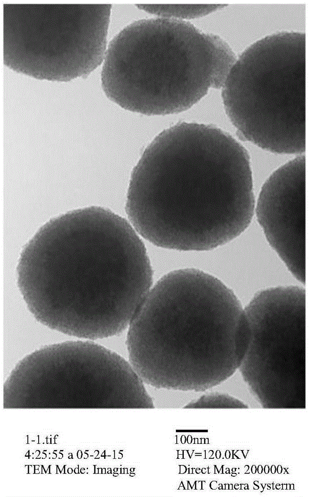 N-phosphorylated peptide enrichment method