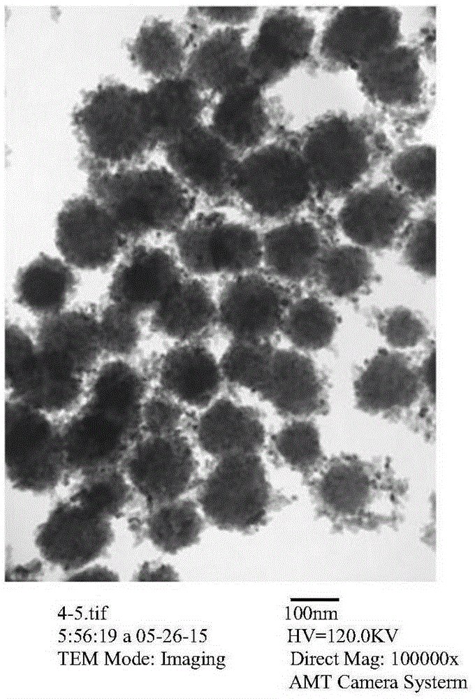 N-phosphorylated peptide enrichment method