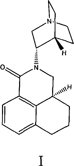 Palonosetron solid medicine composition