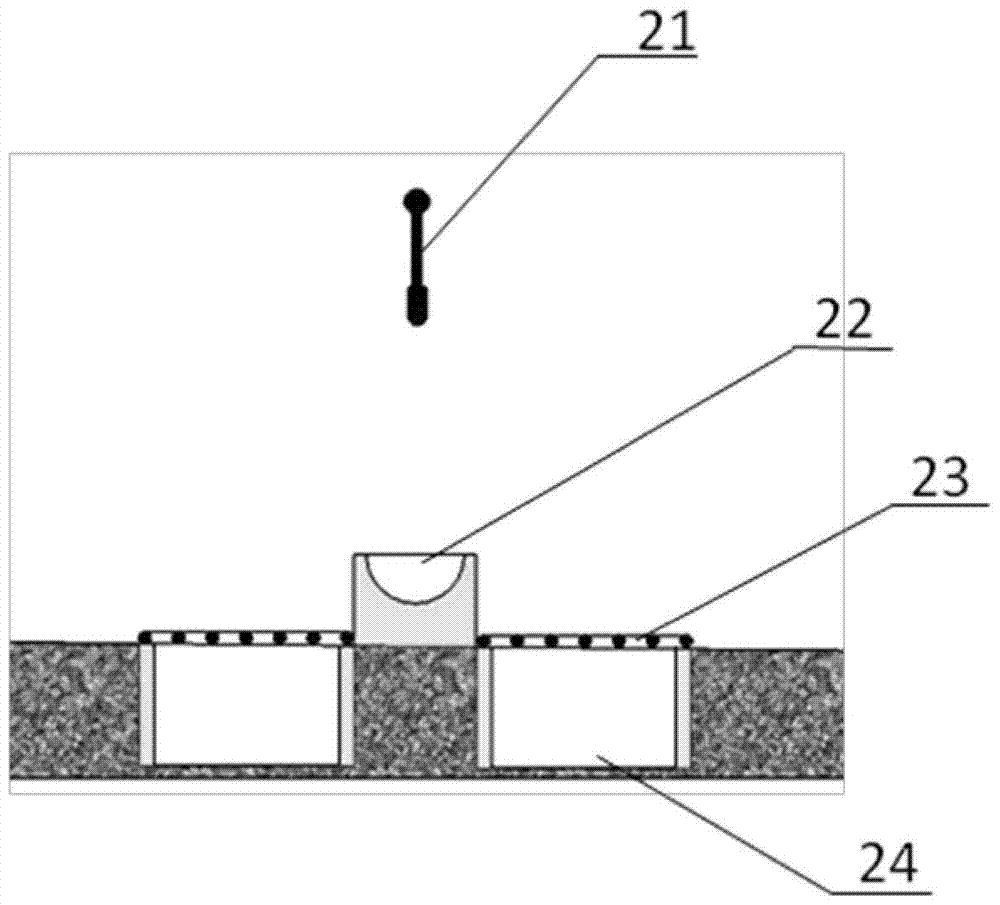 An environment-friendly, hygienic and economical meat breeding duck fermentation bed breeding house