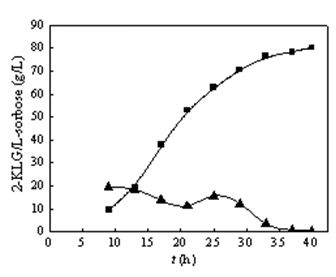 Enhancing method of production strength of 2-keto-L-gulonic acid