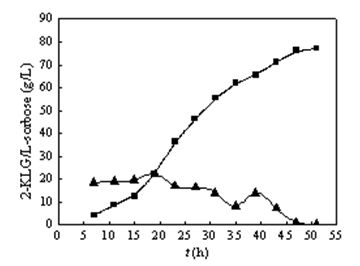 Enhancing method of production strength of 2-keto-L-gulonic acid