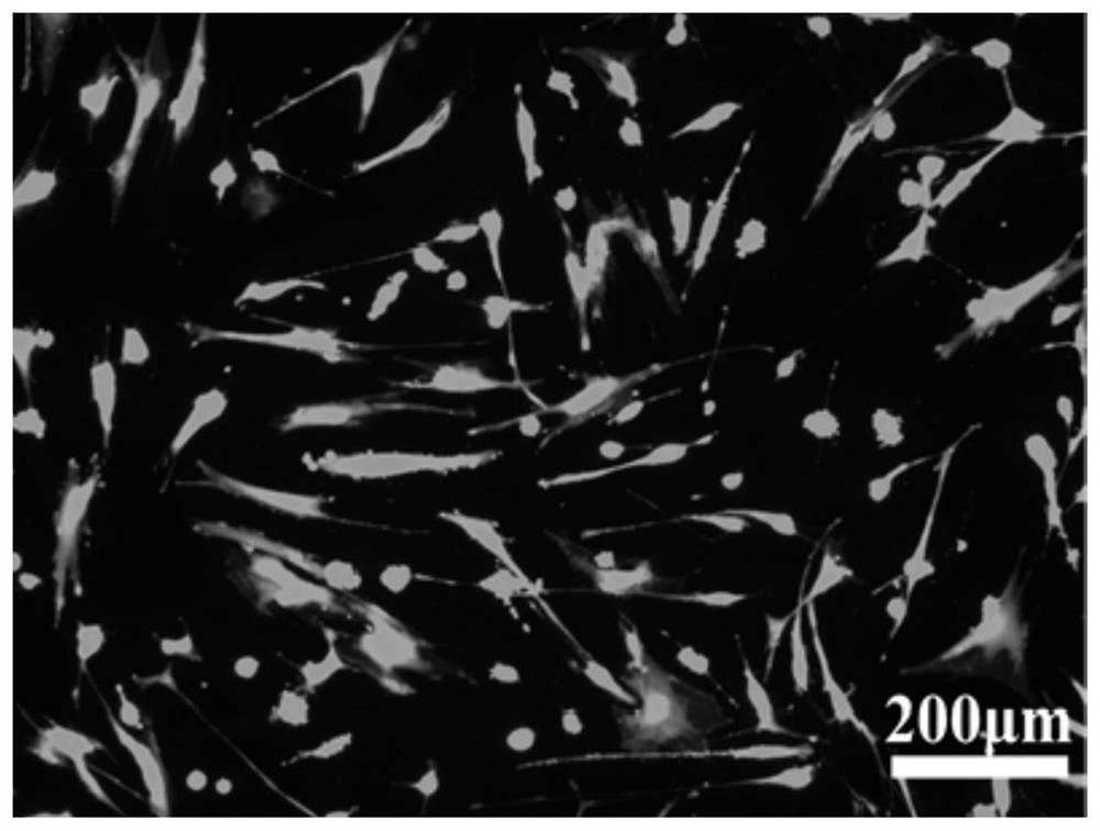 Natural polysaccharide-based injectable in-situ formed hydrogel as well as preparation method and application thereof