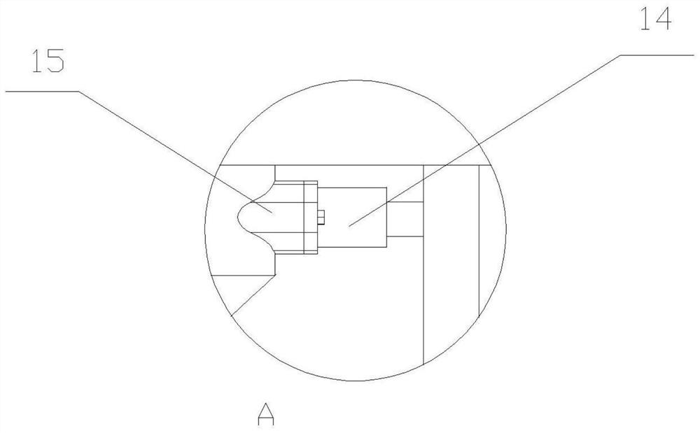 Automatic walnut sheller and shelling process