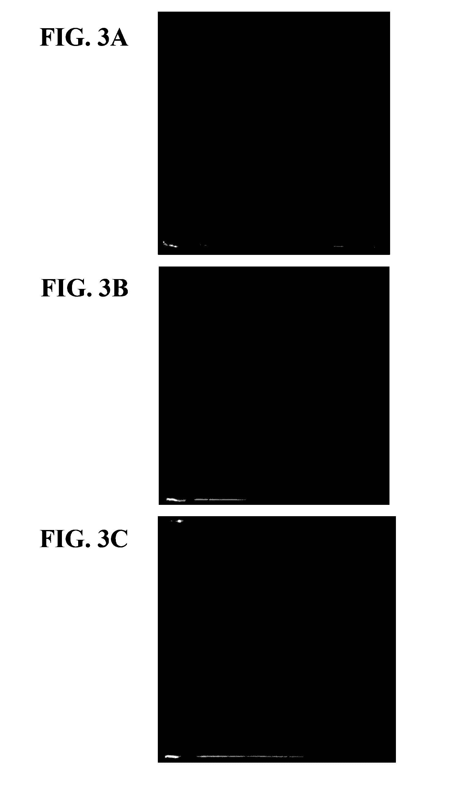 Low-lead dry film lubricant composition