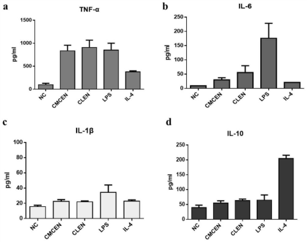 Catharanthus roseus-sourced exosome nano-vesicle and application thereof in immunoregulation