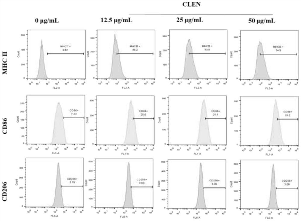 Catharanthus roseus-sourced exosome nano-vesicle and application thereof in immunoregulation