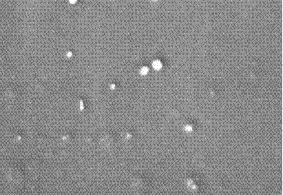 Novel low carbon methanol diesel and additive and preparation method thereof