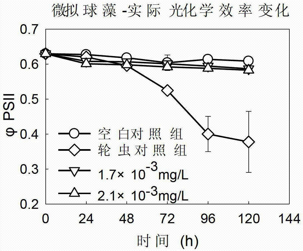 Application of tetracyclic triterpenoids in preparation of low-dosage rotifer insecticides