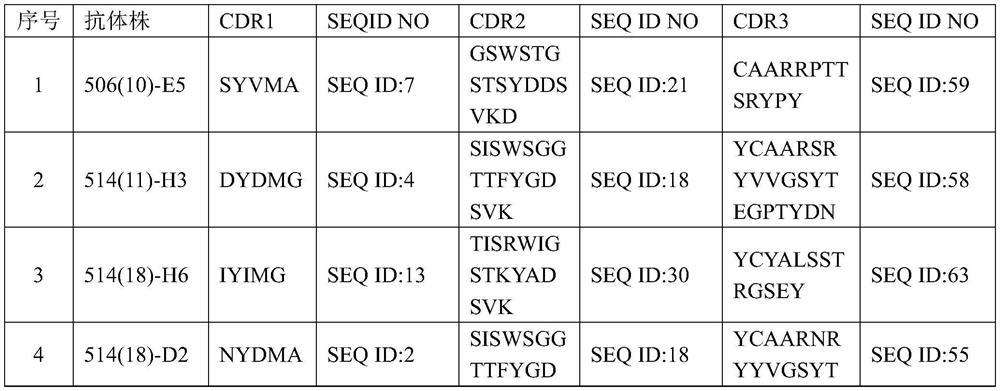 Interleukin 2 binding molecule, and derivative, kit, production method and use of interleukin 2 binding molecule