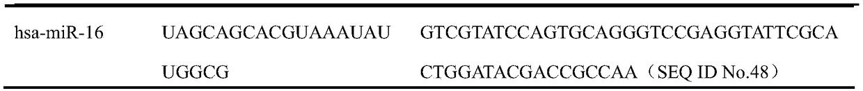 Kit for detecting cervical cancer and precancerous lesions thereof and application thereof