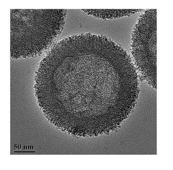 Magnetic resonance imaging (MRI)-oriented high intensity focused ultrasound (HIFU) synergist and preparation method thereof