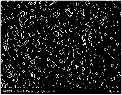 Preparation method for corrosion-resistant organic composite coating on surface of magnesium alloy