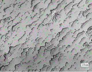 Grinding pad for gallium oxide single crystals and preparation method of grinding pad