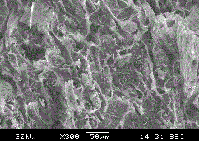 Method for preparing plant fiber-based foamed thermoplastic masterbatch