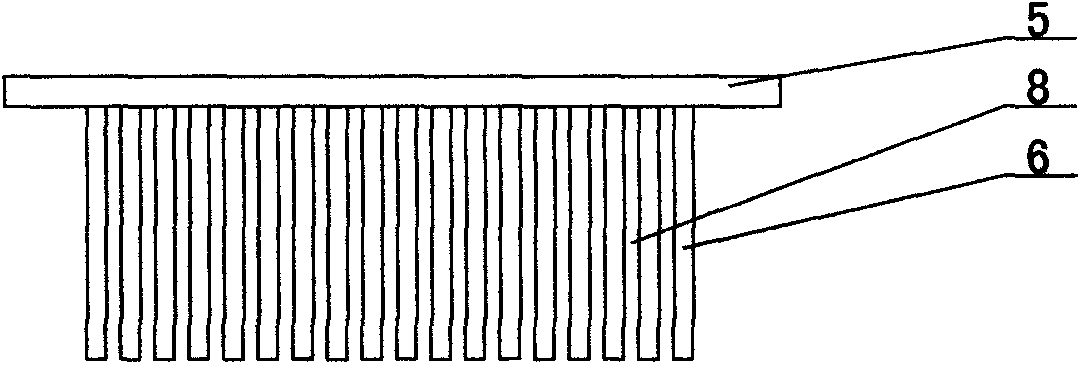 Dicing device for Chinese chives or allium fistulosum