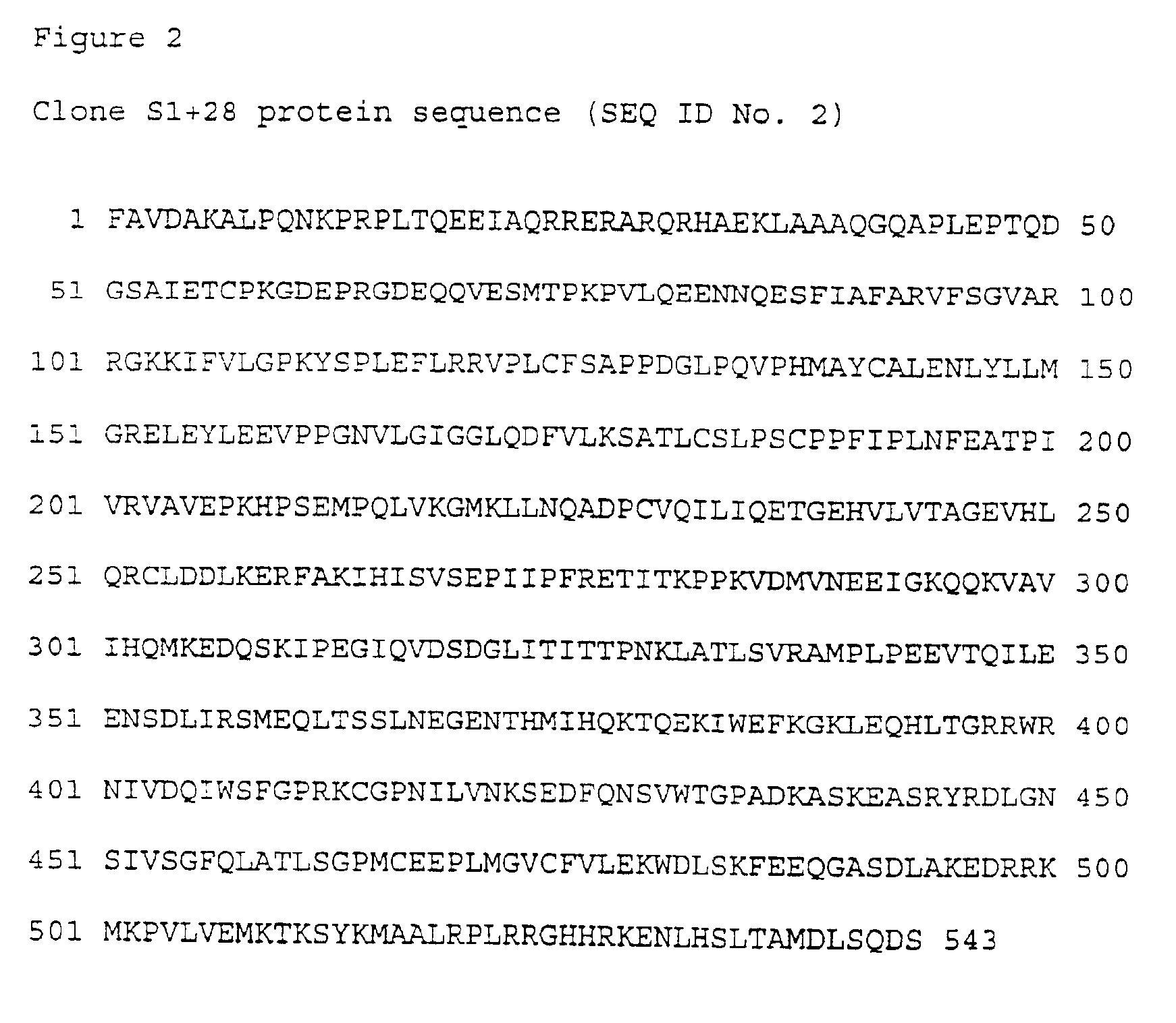 Antibody to SNIP1