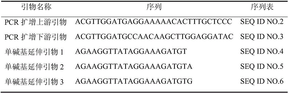 Single nucleotide polymorphism marker site, primers and reagent kit for identifying peach fruit flesh color characteristic and application