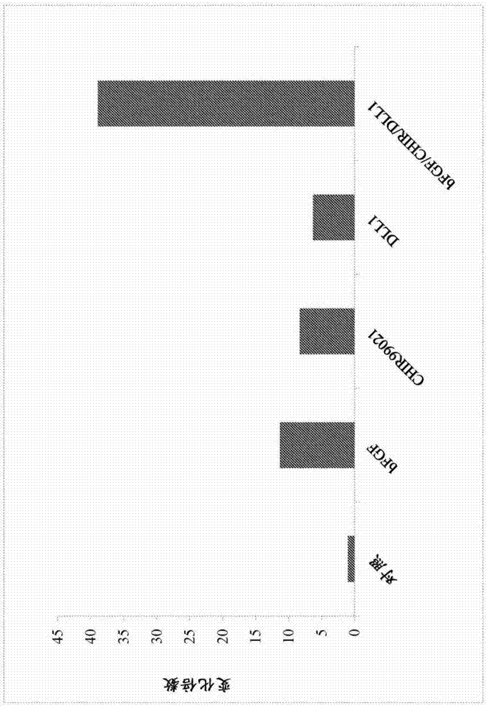 Methods and compositions for expansion and differentiation of skeletal muscle stem cells or progenitor cells