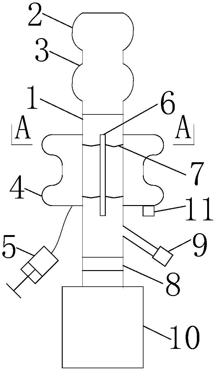 Anorectal drainage device with supporting function