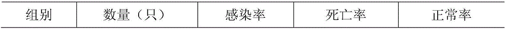 Traditional Chinese medicine feed for preventing and treating infectious bronchitis and preparation method thereof