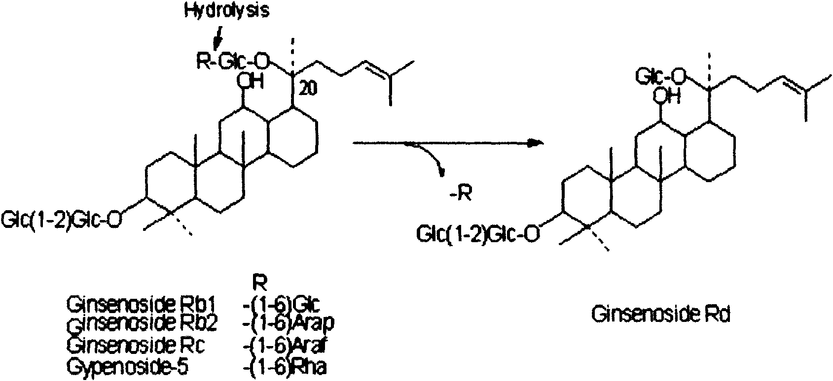 Method for preparing ginsenoside Rd by using microbial transformation