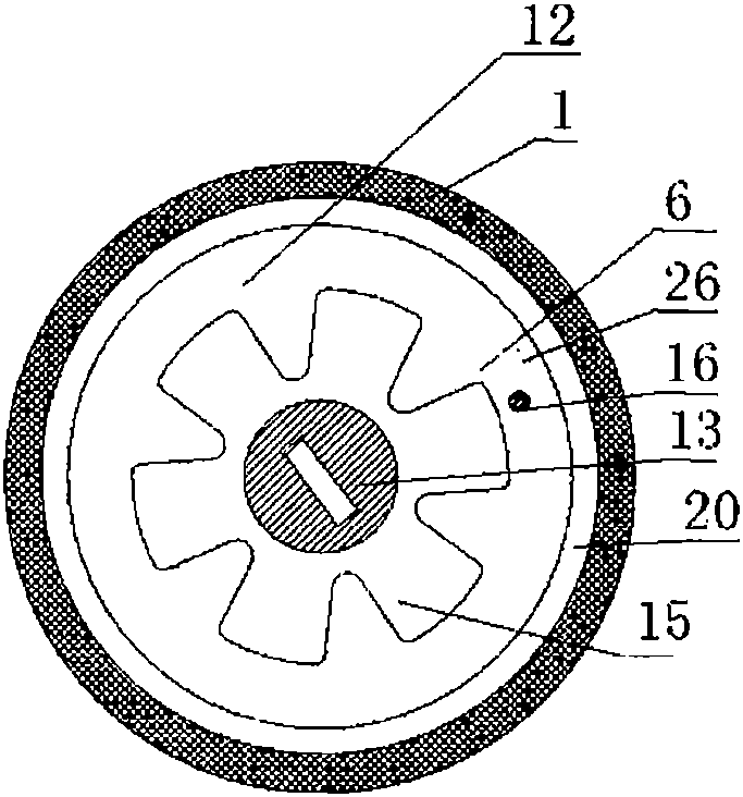 Novel conveyor and method of conveyor