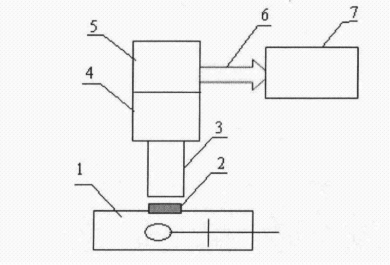 Sample detection method in Howard fungus measurement method for canned food