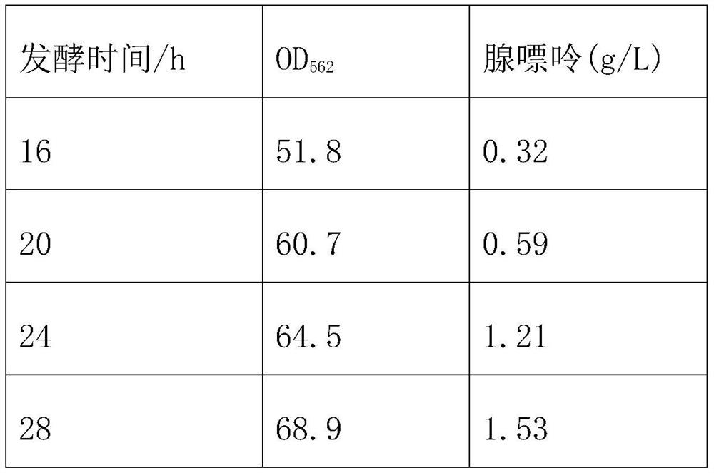 A kind of adenine production strain and its construction method and application