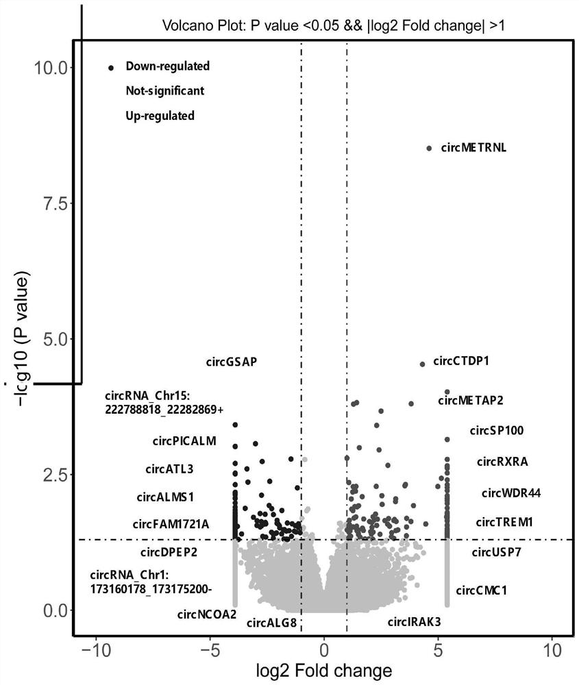 Application of peripheral blood mononuclear cells circGSAP