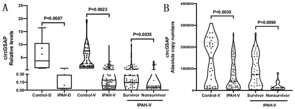 Application of peripheral blood mononuclear cells circGSAP