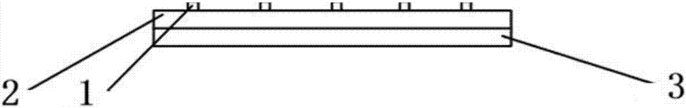 Artificial muscle stent model as well as preparation device and method thereof