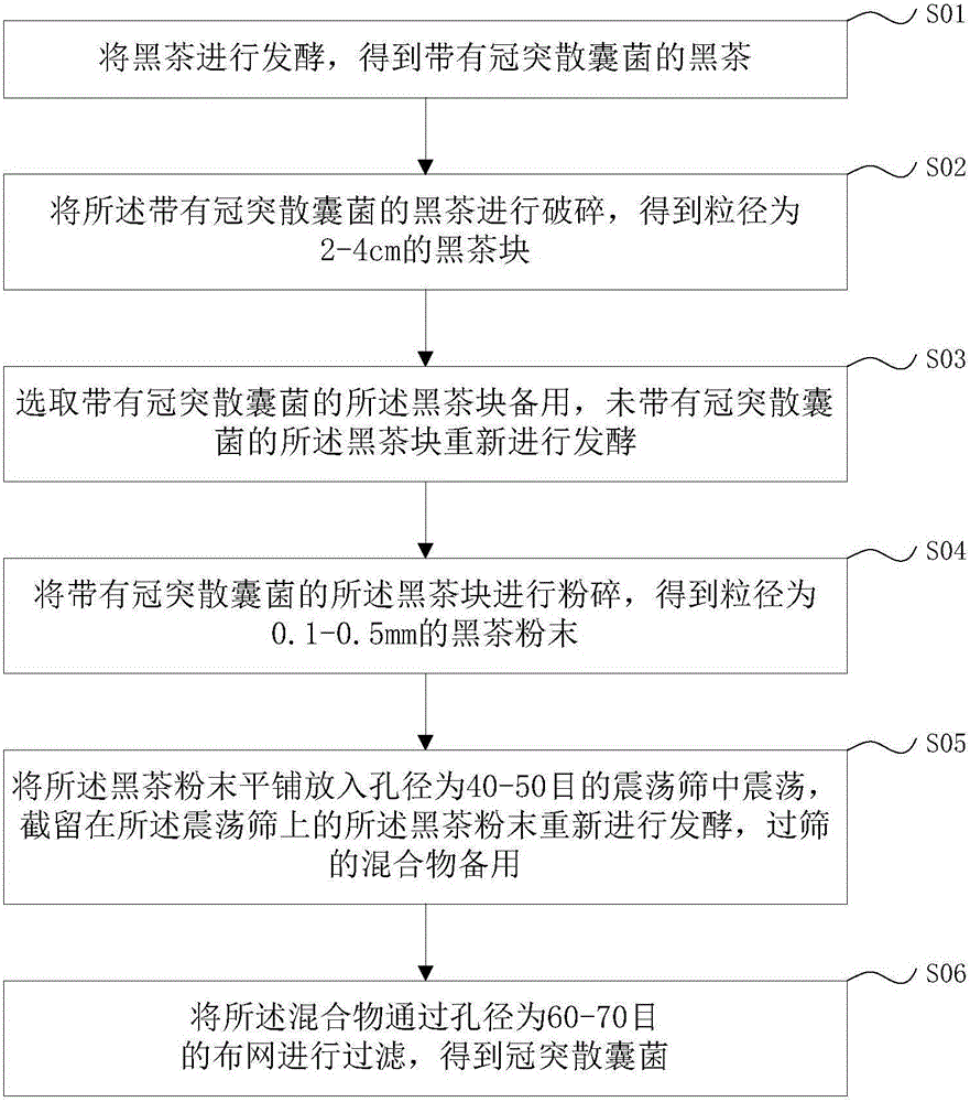 Method for extracting eurotium cristatum from dark tea and application thereof