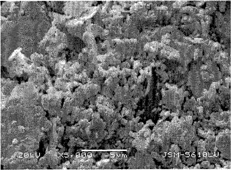 Silicon oxide compound silver powder and preparation method thereof as well as conductive silver paste