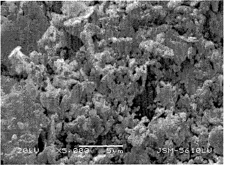 Silicon oxide compound silver powder and preparation method thereof as well as conductive silver paste