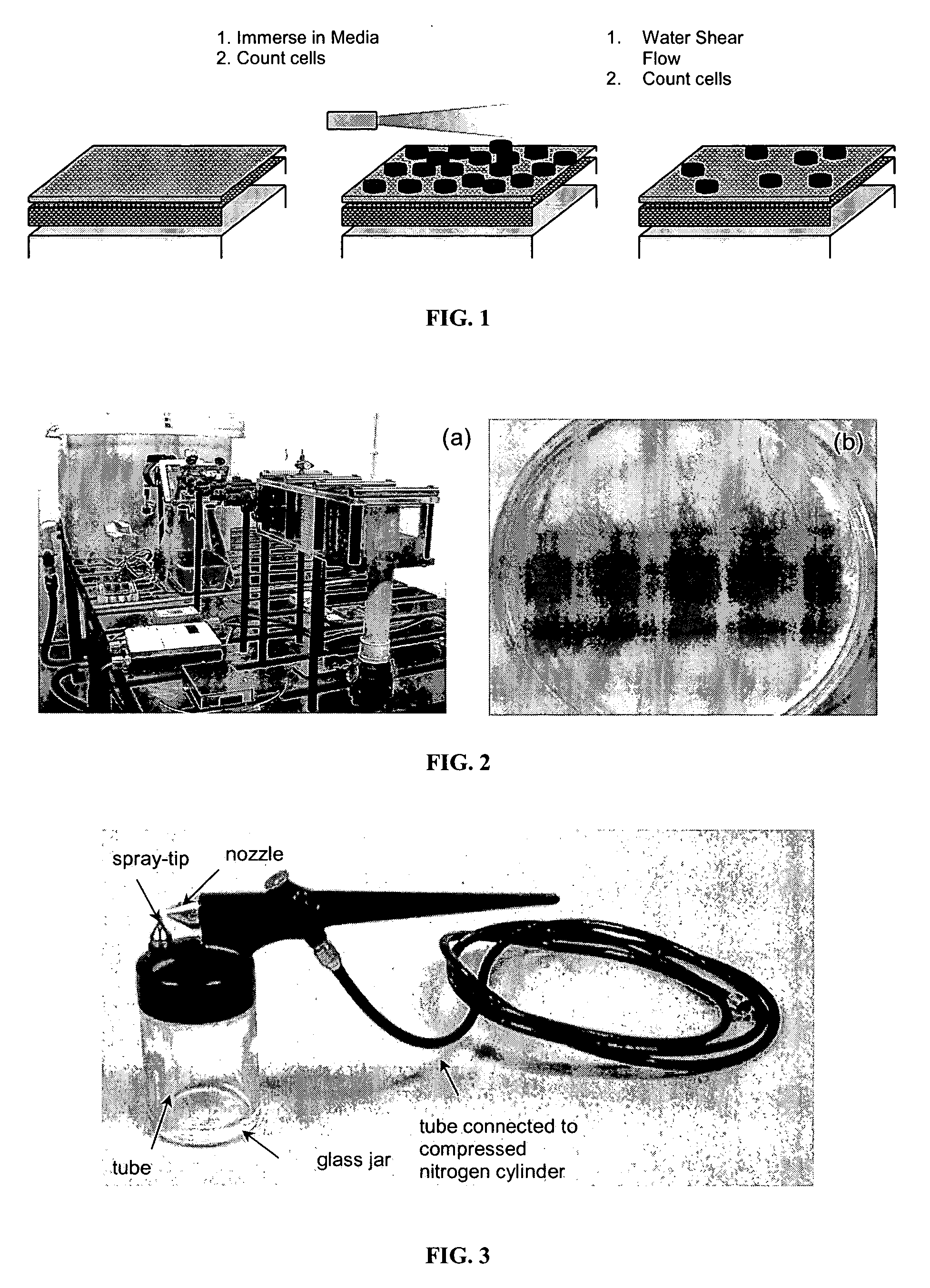 Polymer coatings