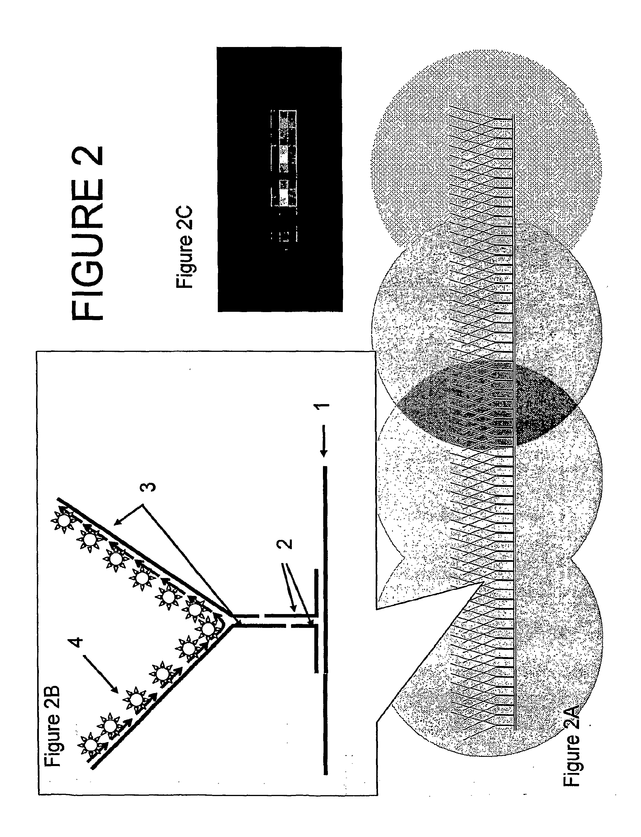 Nanoreporters and methods of manufacturing and use thereof