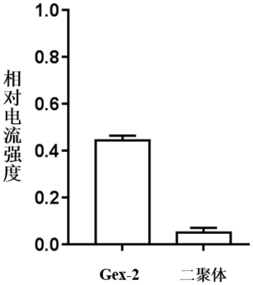 Alpha9alpha10nAChR inhibitory active peptide and application thereof