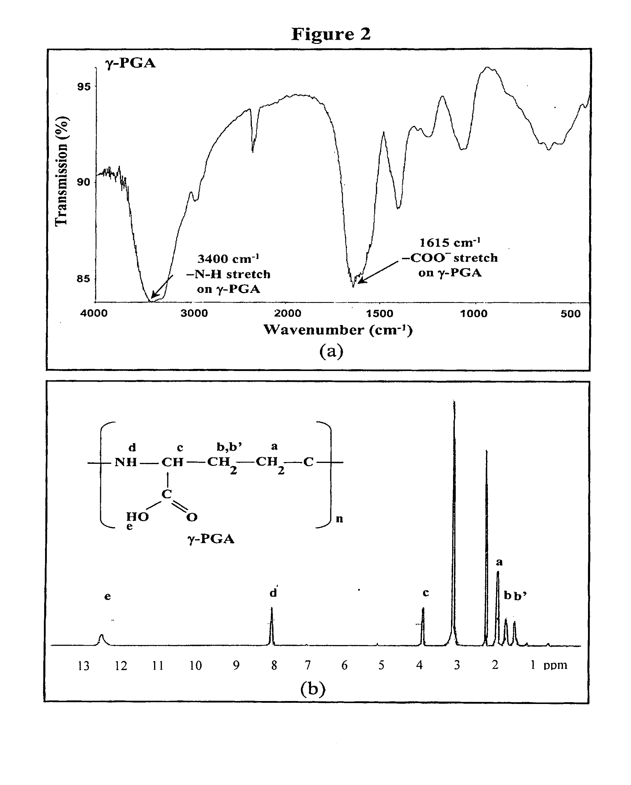 Pharmaceutical composition of nanoparticles for protein drug delivery