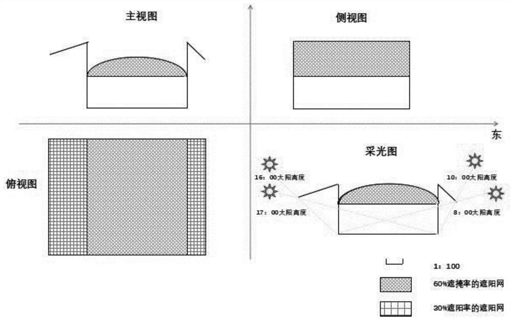 A pollution-free, high-yield and high-quality Huoshan Dendrobium planting method