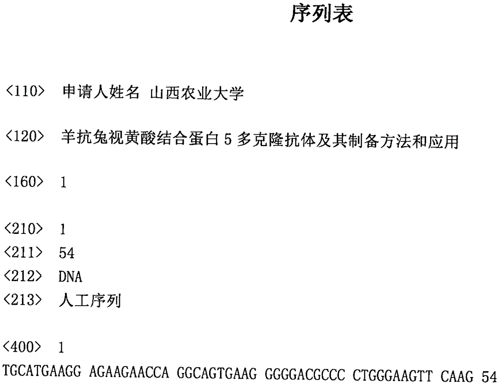 Goat anti-rabbit retinoic acid binding protein 5 polyclonal antibody, and preparation method and application thereof