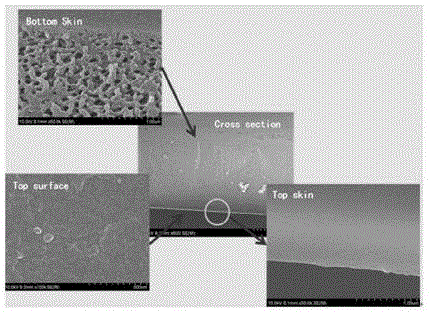 Acid, alkali and organic solvent resisting diaphragm material, and preparation method and application thereof