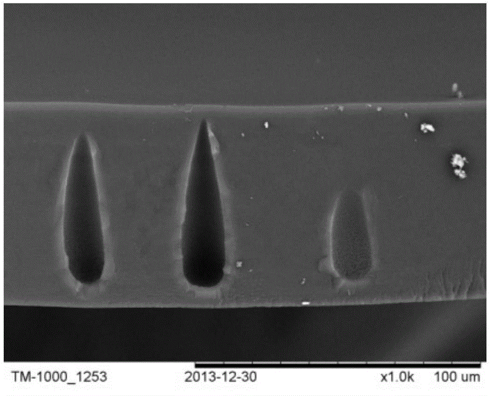 Acid, alkali and organic solvent resisting diaphragm material, and preparation method and application thereof