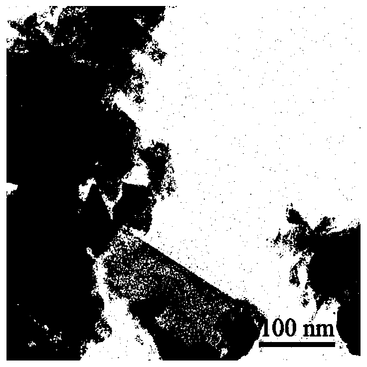 Method for constructing type III collagen photoelectrochemical sensor based on rhenium disulfide nanosheet and application