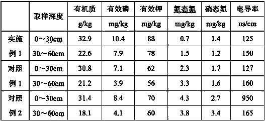 Non-point source pollution prevention and control cultivation method for osmanthus fragrans nursery garden