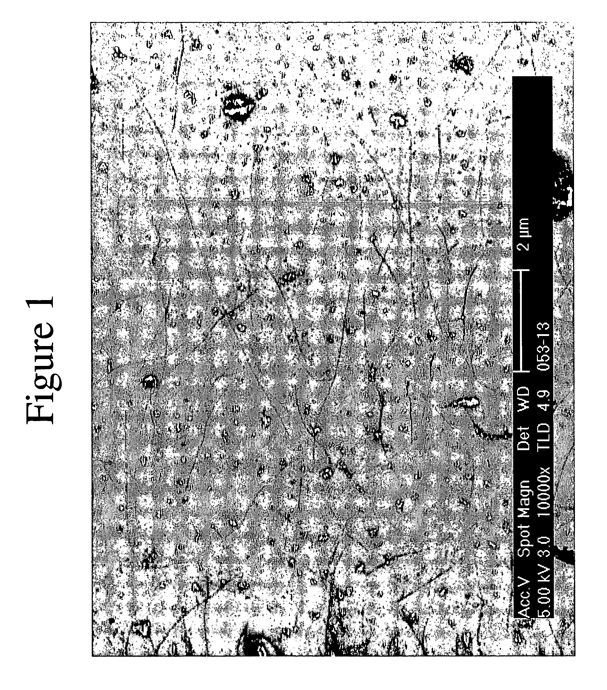 Method of making an applicator liquid for electronics fabrication process