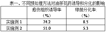 High-yield high-quality fast breeding method of sasanqua